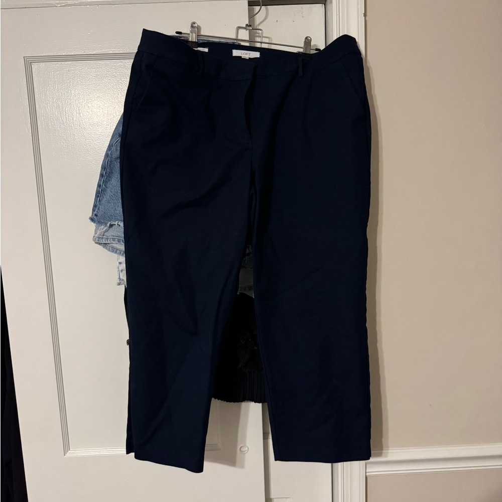 LOFT Curvy Women’s Navy Chinos